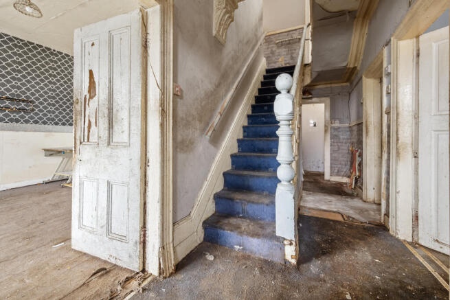 DSC 8939 T202603060905.jpg