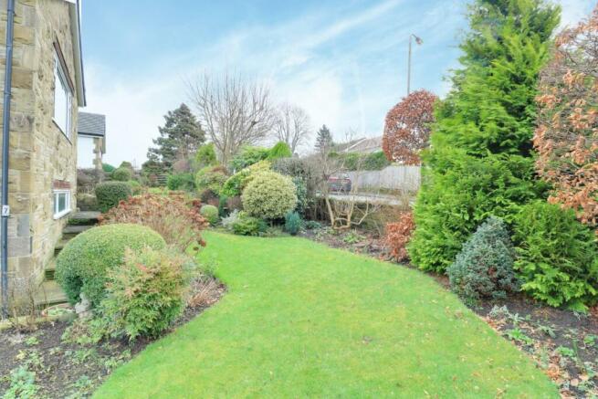 Front Garden (1).jpg