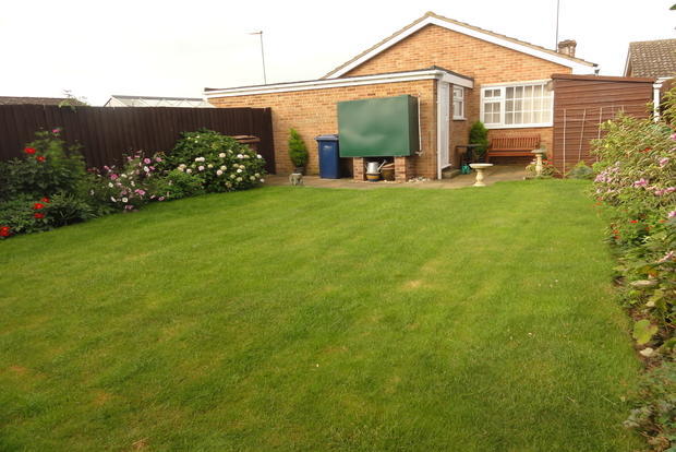 BACK GARDEN
