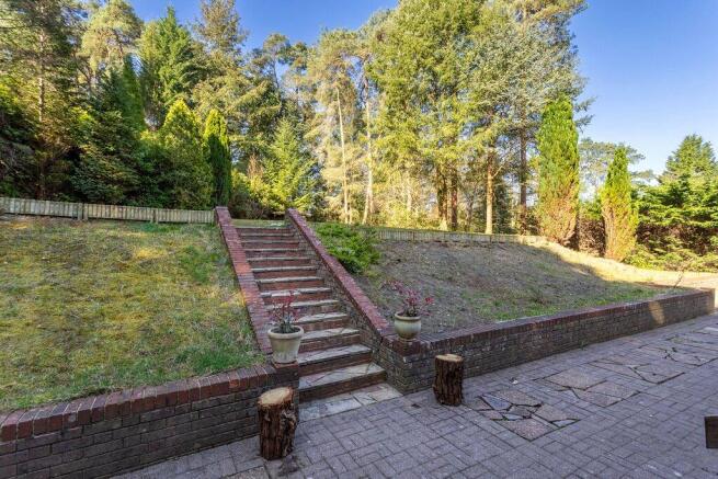 Terrace & Garden