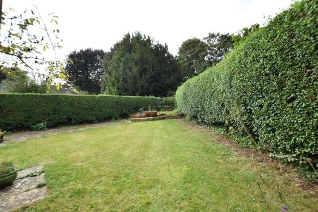 garden 2 .JPG