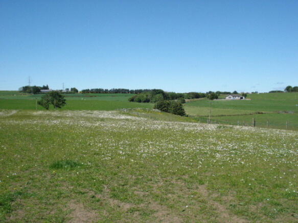 Land