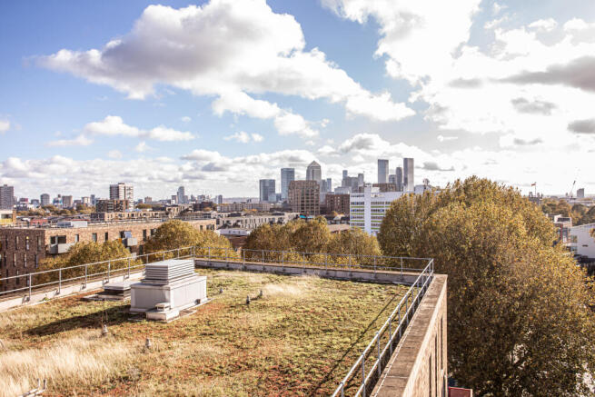 Panoramic Views