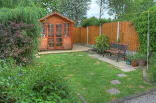Photo 5