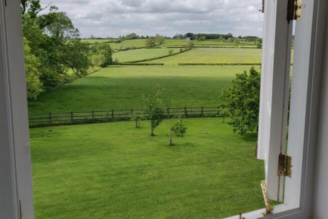 Blue Room View.jpg