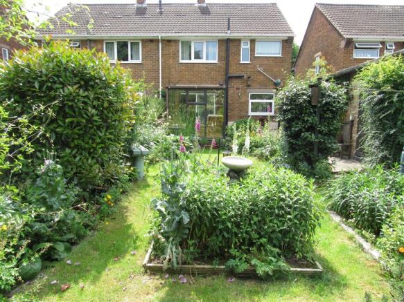 garden three 52 petersham road.JPG