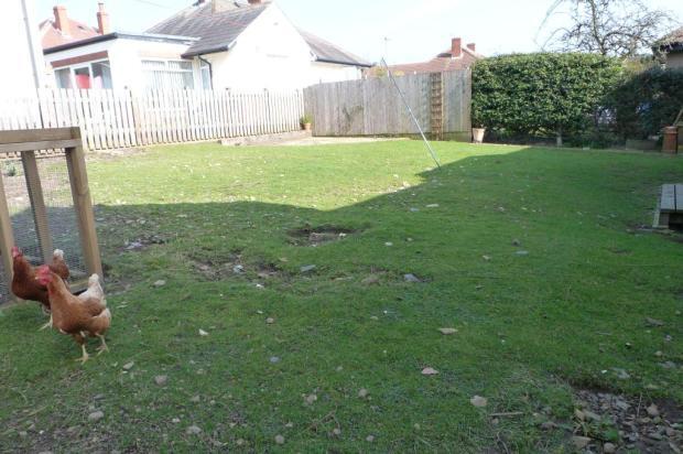 Photo 13