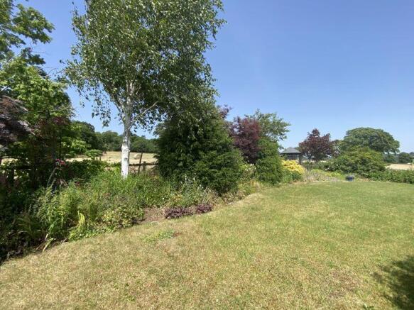 Side lawn