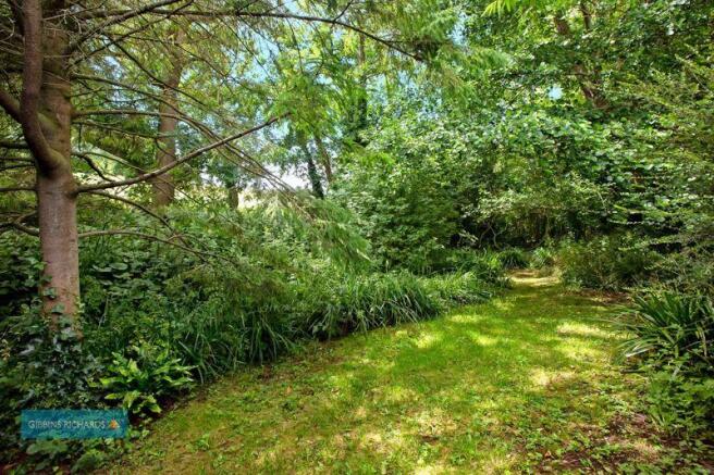 Woodland