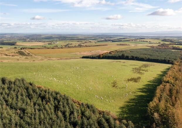 Land and Forestry