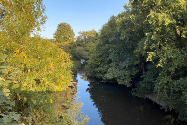 River Mole (at the bottom of the garden)