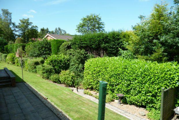 Gardens