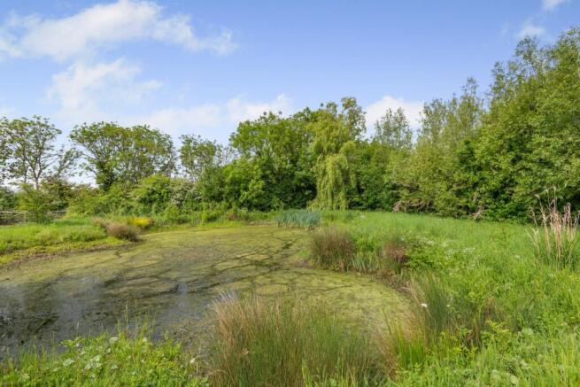Wildlife Pond