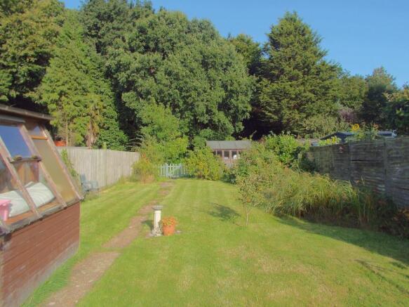 Rear Views