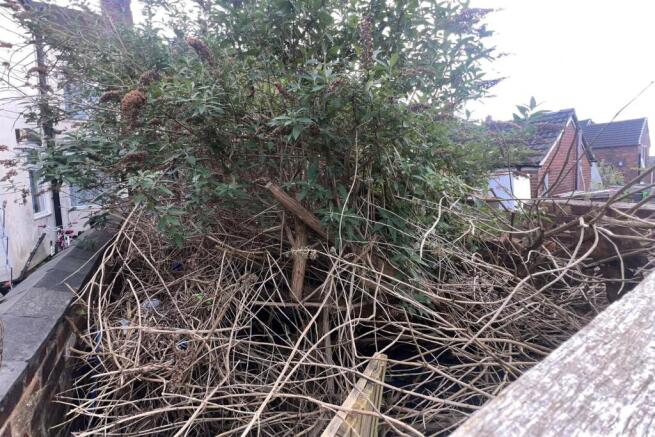 Dart 10 T202605221218.jpg