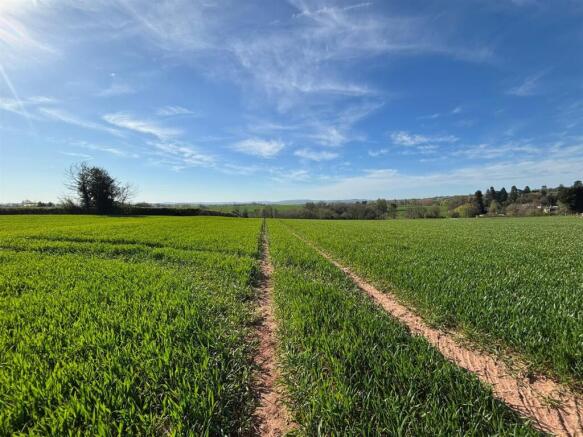 WhatsApp Image 2026-04-07 at 10.04.23.jpeg