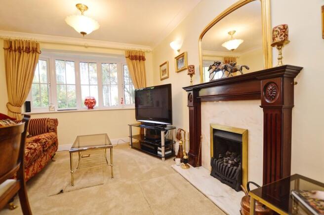 Photo 7