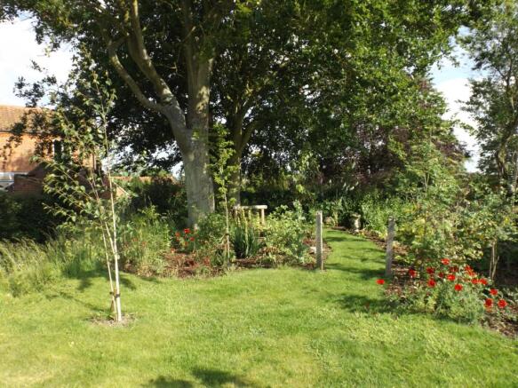 Side Garden