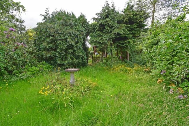 73 Twatling Road, garden 2.jpg