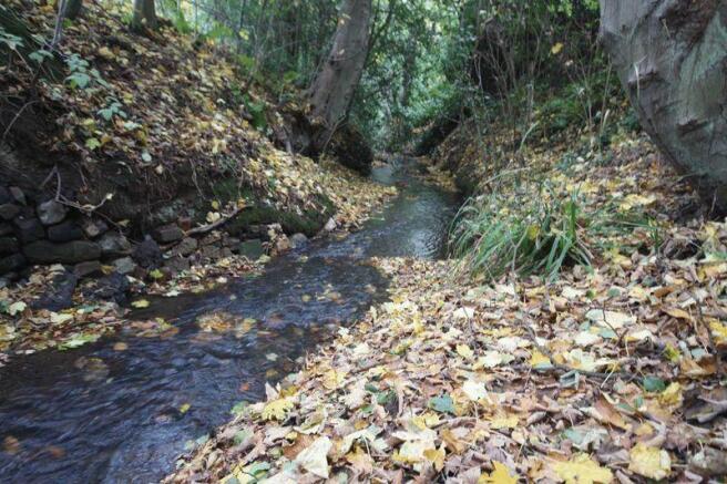 Stream