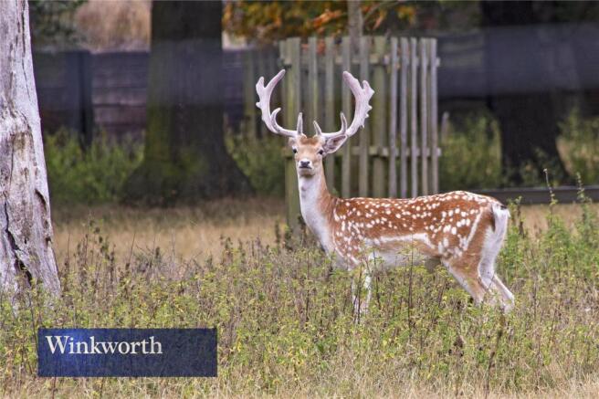 Greenwich Park