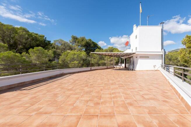 Terrace (3)