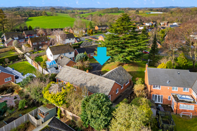 Untitled design (1).png