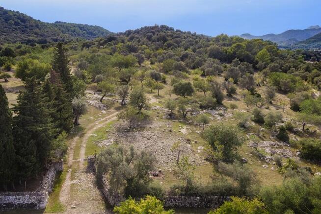 Aerial (1)
