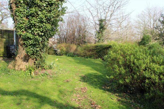 Garden 4