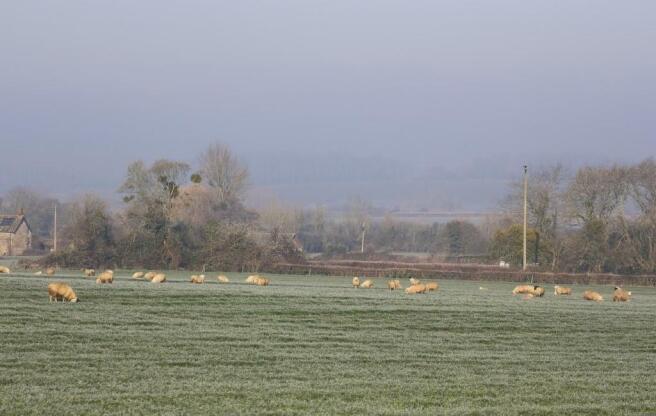 IMG_3293.JPEG