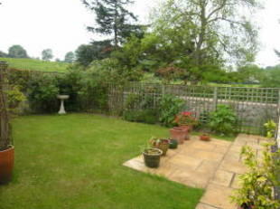 Back Garden