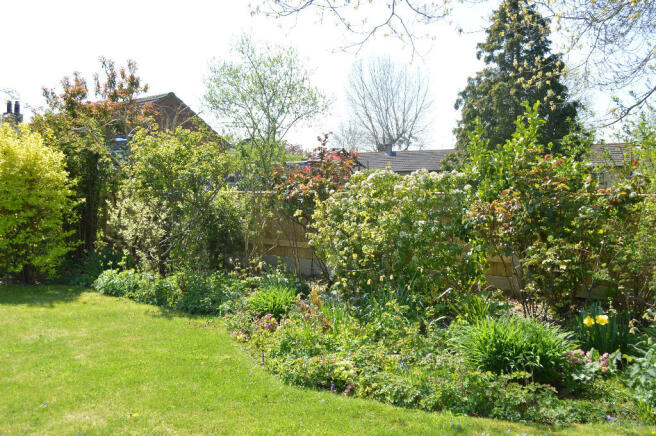Photo 15