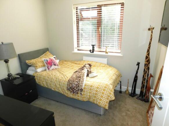 Photo 11