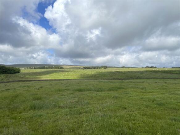 Land
