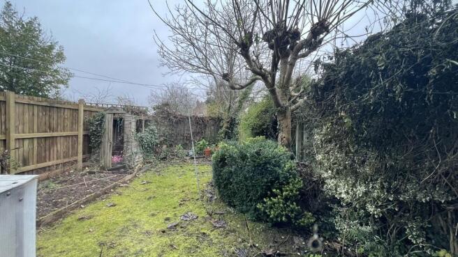 Garden 1.JPG