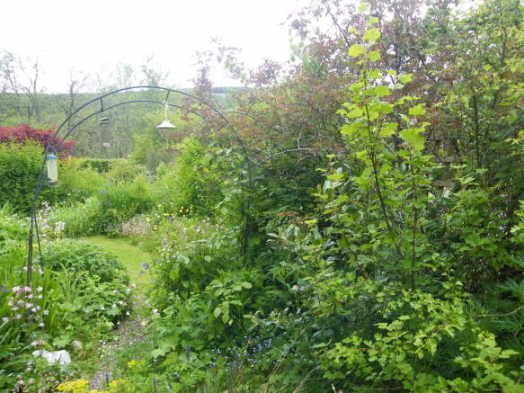 Photo 10