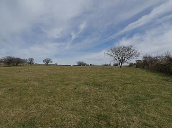 Fields