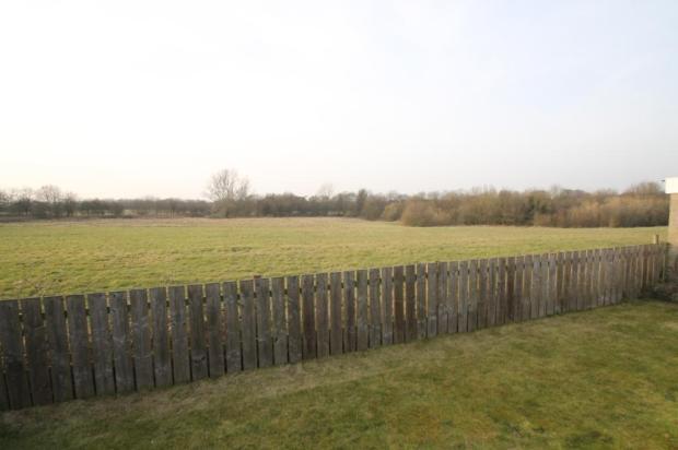 View Beyond Rear