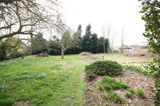 Secret Garden