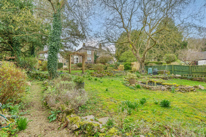Mature Garden