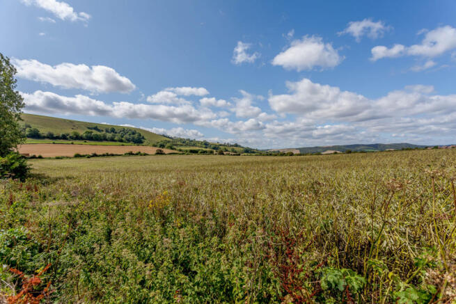Fields