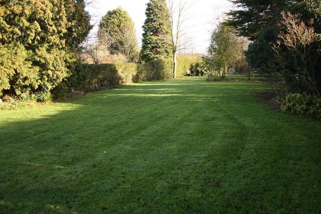 rear garden2.JPG