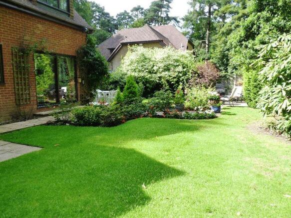 Photo 11