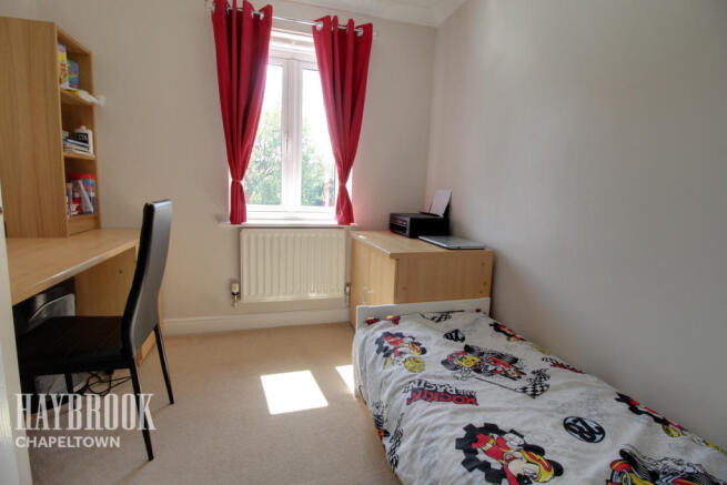 Photo 15