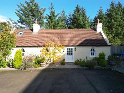 Gingerbread House, Mey