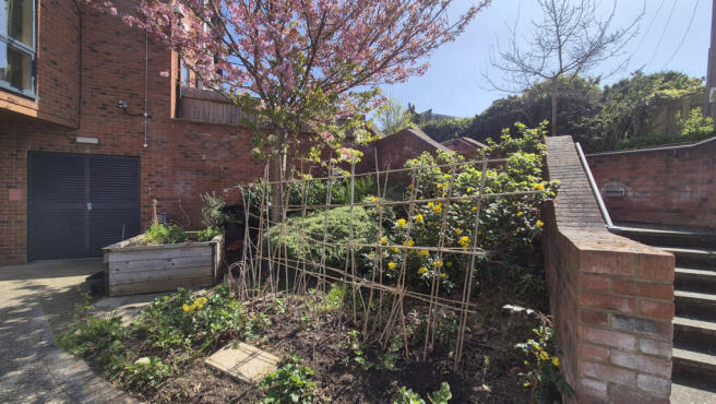 Communal Gardens