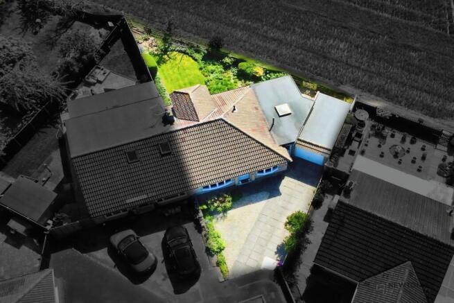 Plot View