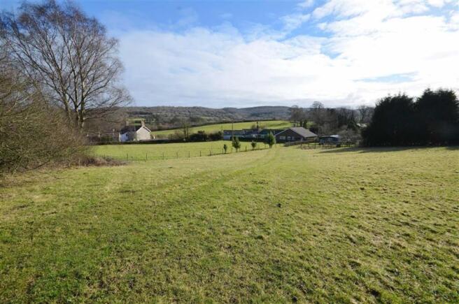 BOTTOM PADDOCK