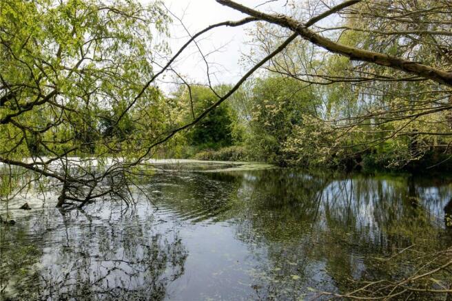 Pond