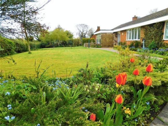 Front Garden